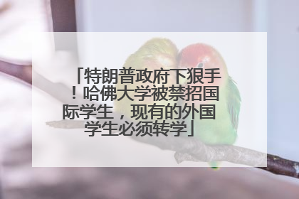 特朗普政府下狠手！哈佛大学被禁招国际学生，现有的外国学生必须转学