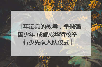 牢记党的教导，争做强国少年 成都成华特校举行少先队入队仪式