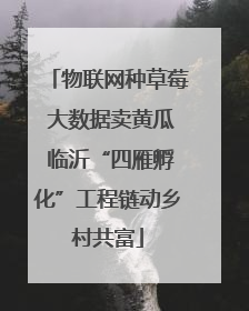 物联网种草莓 大数据卖黄瓜 临沂“四雁孵化”工程链动乡村共富