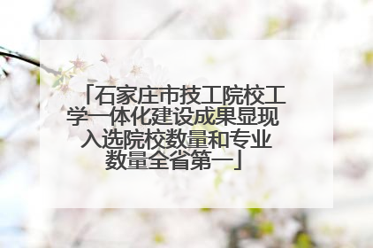 石家庄市技工院校工学一体化建设成果显现 入选院校数量和专业数量全省第一
