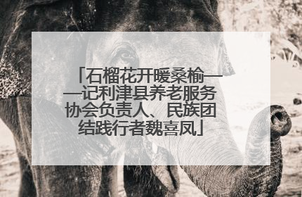石榴花开暖桑榆——记利津县养老服务协会负责人、民族团结践行者魏喜凤