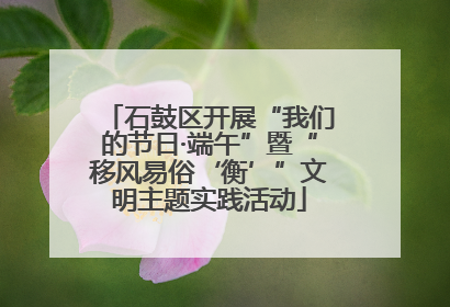 石鼓区开展“我们的节日·端午”暨“移风易俗‘衡’”文明主题实践活动