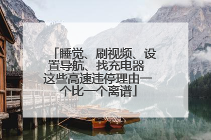睡觉、刷视频、设置导航、找充电器 这些高速违停理由一个比一个离谱