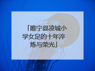睢宁县凌城小学女足的十年淬炼与荣光