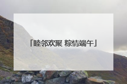 睦邻欢聚 粽情端午