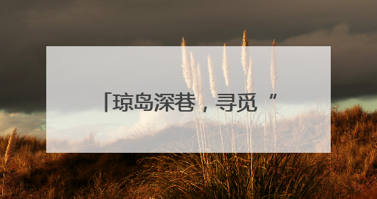 琼岛深巷，寻觅“包罗万象”的甜
