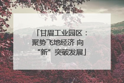 甘眉工业园区：聚势飞地经济 向“新”突破发展