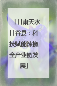 甘肃天水甘谷县：科技赋能辣椒全产业链发展