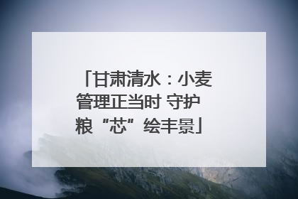 甘肃清水：小麦管理正当时 守护粮“芯”绘丰景