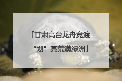 甘肃高台龙舟竞渡“划”亮荒漠绿洲
