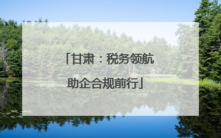 甘肃：税务领航 助企合规前行