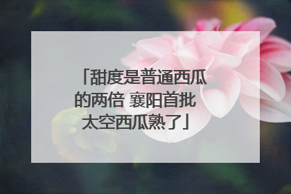 甜度是普通西瓜的两倍 襄阳首批太空西瓜熟了