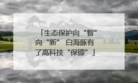 生态保护向“智”向“新” 白海豚有了高科技“保镖”