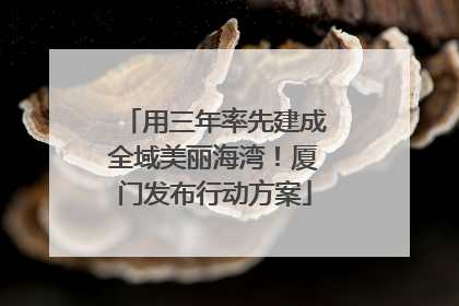 用三年率先建成全域美丽海湾！厦门发布行动方案