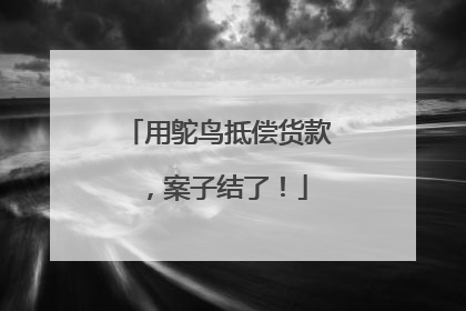 用鸵鸟抵偿货款，案子结了！
