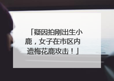 疑因拍刚出生小鹿，女子在市区内遭梅花鹿攻击！