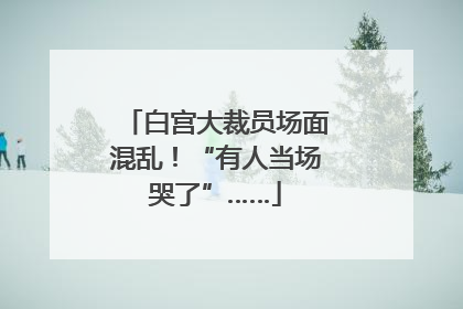 白宫大裁员场面混乱！“有人当场哭了”……