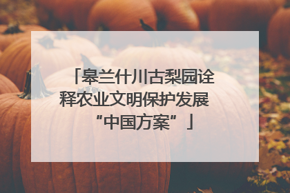 皋兰什川古梨园诠释农业文明保护发展“中国方案”