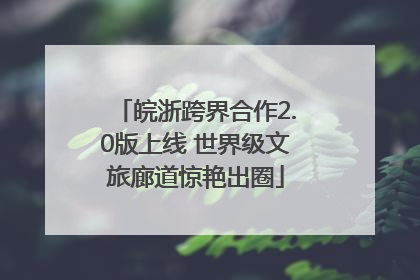 皖浙跨界合作2.0版上线 世界级文旅廊道惊艳出圈