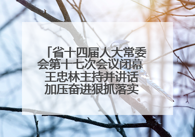 省十四届人大常委会第十七次会议闭幕 王忠林主持并讲话 加压奋进狠抓落实 全力推动支点建设成势见效