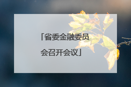 省委金融委员会召开会议