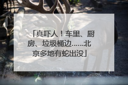 真吓人！车里、厨房、垃圾桶边……北京多地有蛇出没