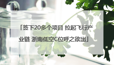 签下20多个项目 拉起飞行产业链 浙南低空C位呼之欲出