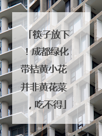 筷子放下！成都绿化带桔黄小花并非黄花菜，吃不得