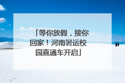 等你放假，接你回家！河南暑运校园直通车开启