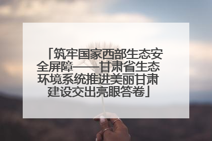 筑牢国家西部生态安全屏障——甘肃省生态环境系统推进美丽甘肃建设交出亮眼答卷