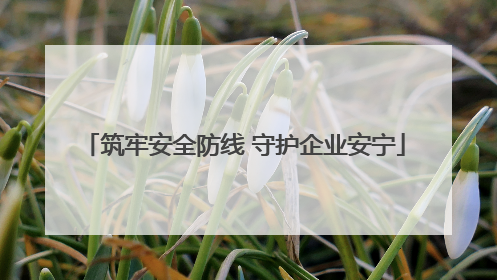 筑牢安全防线 守护企业安宁