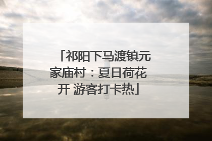 祁阳下马渡镇元家庙村：夏日荷花开 游客打卡热