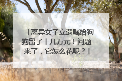 离异女子立遗嘱给狗狗留了十几万元！问题来了，它怎么花呢？