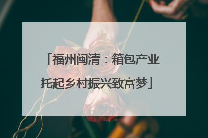 福州闽清：箱包产业托起乡村振兴致富梦