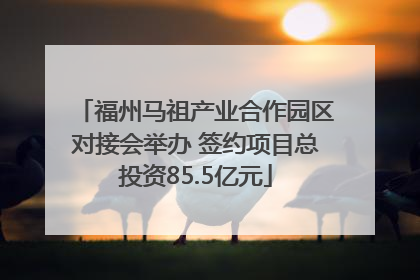 福州马祖产业合作园区对接会举办 签约项目总投资85.5亿元