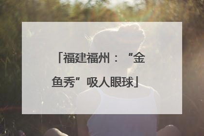 福建福州：“金鱼秀”吸人眼球