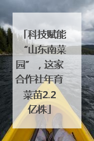 科技赋能“山东南菜园”，这家合作社年育菜苗2.2亿株