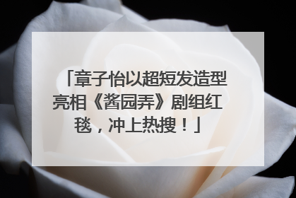 章子怡以超短发造型亮相《酱园弄》剧组红毯，冲上热搜！