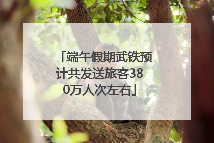 端午假期武铁预计共发送旅客380万人次左右
