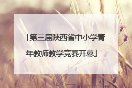 第三届陕西省中小学青年教师教学竞赛开幕