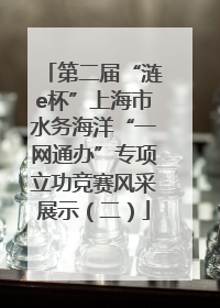 第二届“涟e杯”上海市水务海洋“一网通办”专项立功竞赛风采展示（二）