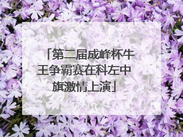 第二届成峰杯牛王争霸赛在科左中旗激情上演