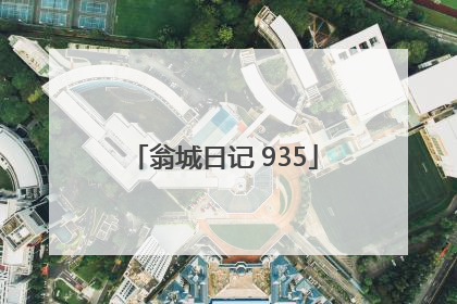 翁城日记 935