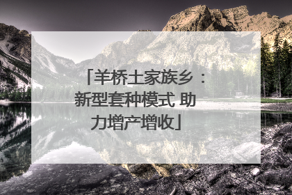 羊桥土家族乡：新型套种模式 助力增产增收