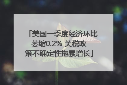 美国一季度经济环比萎缩0.2% 关税政策不确定性拖累增长