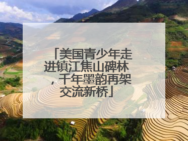 美国青少年走进镇江焦山碑林，千年墨韵再架交流新桥
