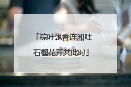 粽叶飘香连湘吐 石榴花开共此时