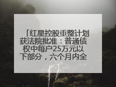 红星控股重整计划获法院批准：普通债权中每户25万元以下部分，六个月内全额现金清偿