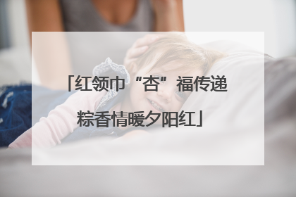 红领巾“杏”福传递 粽香情暖夕阳红