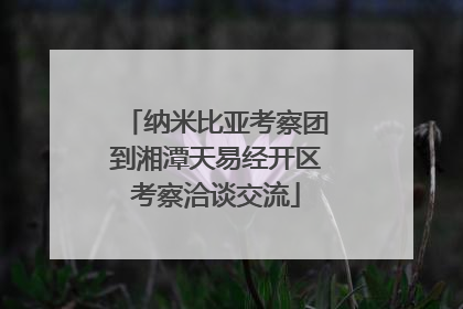 纳米比亚考察团到湘潭天易经开区考察洽谈交流